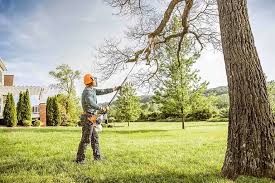 Leaf Removal in Wendover, UT